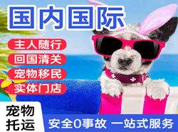 白山航空快运国际宠物托运 【国